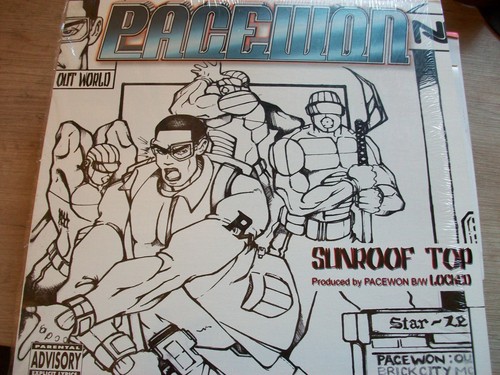 Pacewon sunroof top - pacewon, –