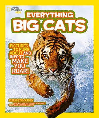 Everything big cats by - cats,