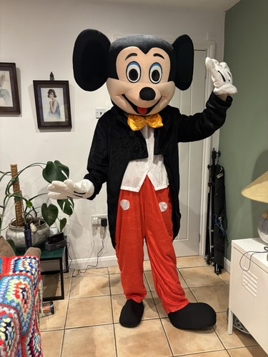 Adult size mickey - adult,