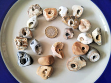 Twenty Natural Hag Stones