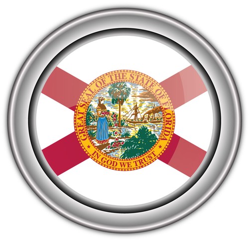 Florida usa state flag silver - state,