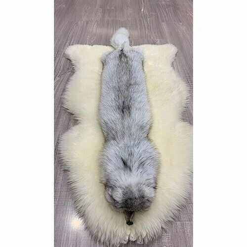 Real fox farm - real, coat