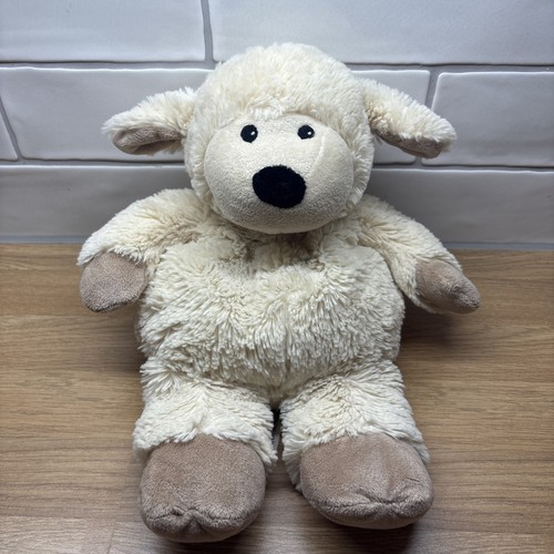 Intelex beddy bear - beddy,
