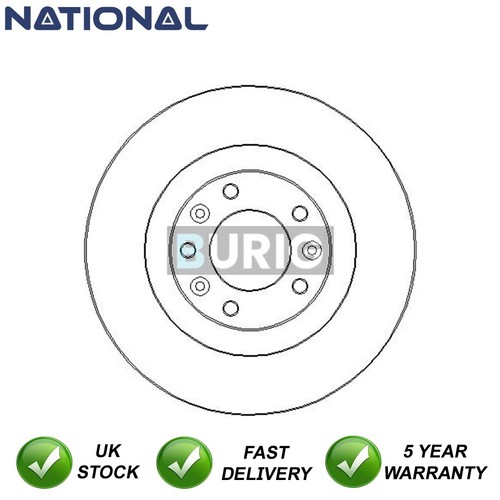 Brake disc rear burig - disc,