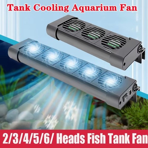 Head aquarium fanstemperature - head,