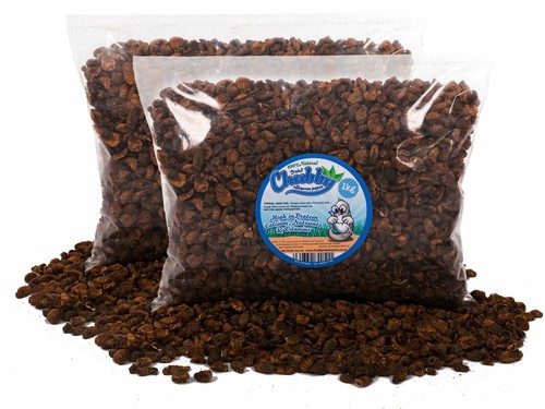 2kg dried silkworm - 2kg, for
