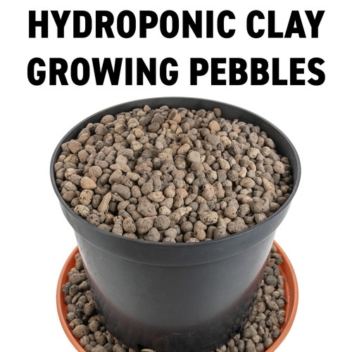 Clay pebbles balls pellets - pebbles,