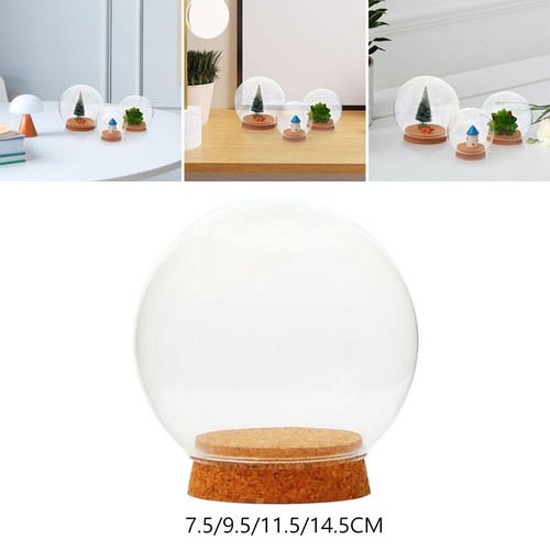 Clear glass dome round home - clear,