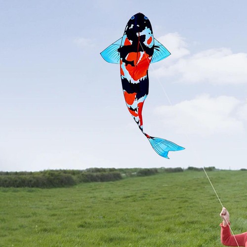 Koi kite fish windsock - koi,