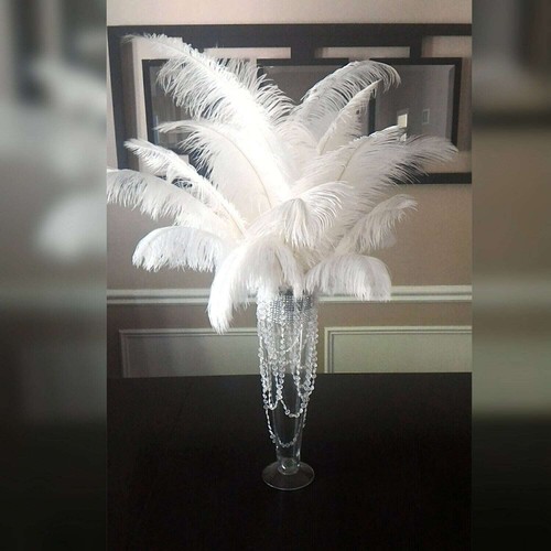 White ostrich feather - white,
