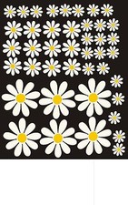 Large Set Daisy Flowers Self