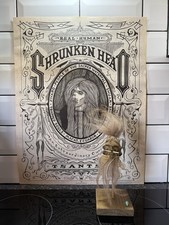 Shrunken head hand made ecuador, animal skin and hair on stand Tsantsa No1A