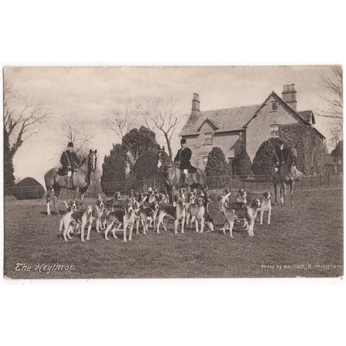 The heythrop hunt - heythrop, beagles