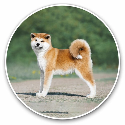 Vinyl stickers 15cm - stickers,