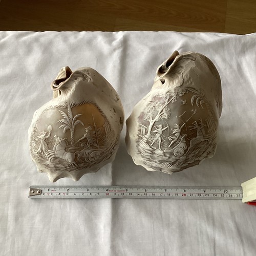 Two carved conch - conch, with
