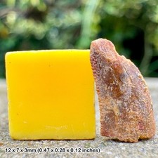 Carcharodontosaurus dinosaur tooth fossil (similar to t-rex) - cretaceous, kem