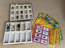 Real Life Bugs and Insects