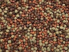 ABF Color & Grow Cichlid Food