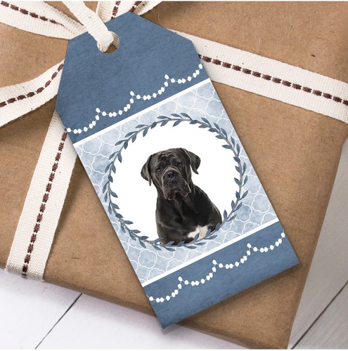 Cane corso dog - cane, blue