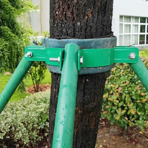 Tree support hoop iron stake - tree,