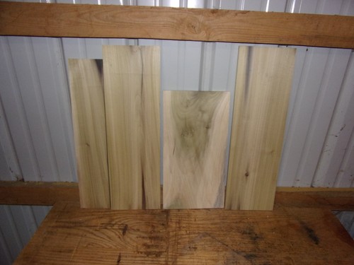 Tulip poplar wood - tulip,