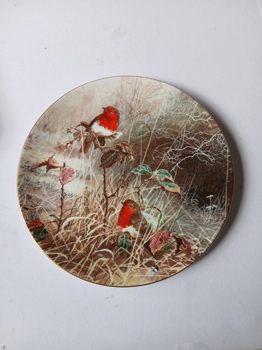 Coalport plate robin redbreast - robin,