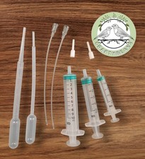 Baby bird finch hand rearing