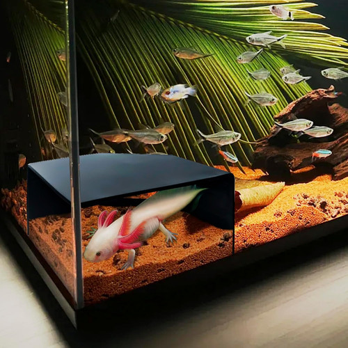 Aquarium corner cave hide - aquarium,