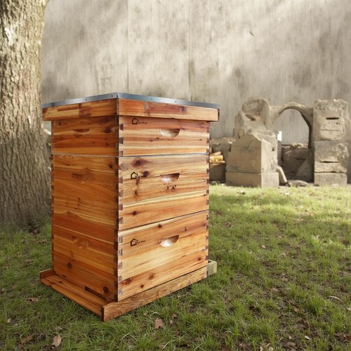 Frame wooden bee hive - frame,