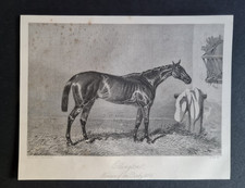 Antique 1856 print - Horse Racing - Ellington - Winner of 1856 Derby- Harry Hall