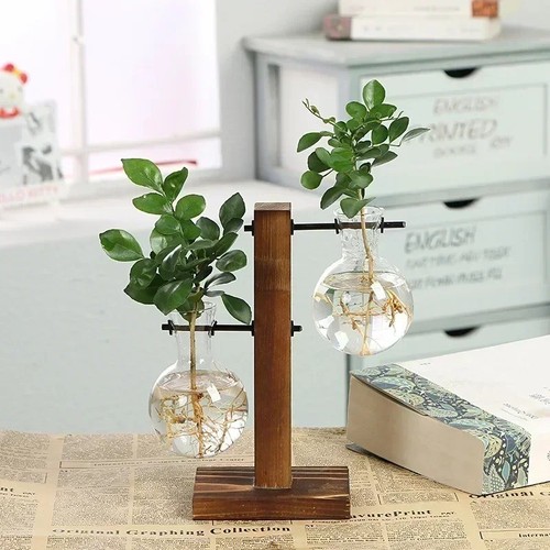 Plant propagation station - propagation,