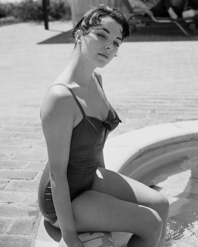 Joan collins glossy photo - photo, 8.5"