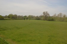 Photo 6x4 Grazing land