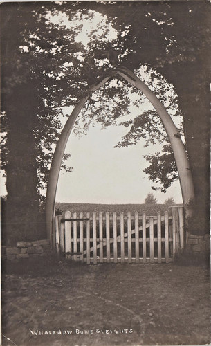 Sleights whale jaw bone arch - sleights.,