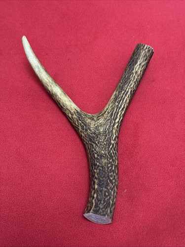 One piece deer antler - piece, y