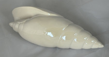 Decorative seashell x 8cm - x,