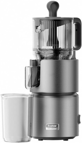Anybear cold press juicer - anybear, with