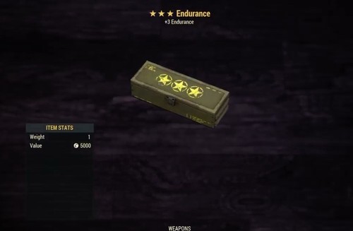 Endurance legendary mod - (xbox),