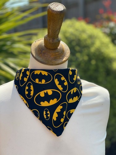 Spiderman batman dog - spiderman,