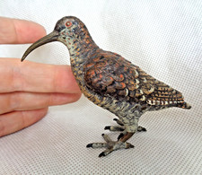 LARGE 19TH CENTURY AUSTRIAN COLD PAINTED BRONZE CURLEW / GAME BIRD