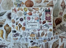 Galison The Beachcomber's