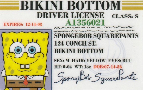 Bikini bottom under the sea - bottom,