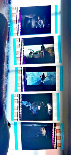 Harry potter and - harry, prisoner