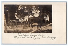 c1910's John Lyons Horse Buggy