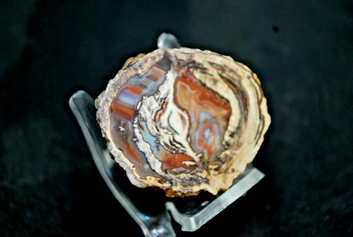 Friejus agates - friejus, (var)