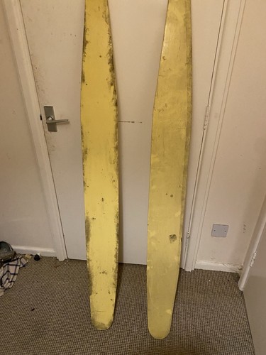 Vintage wooden water skis - vintage,