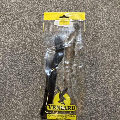 Veniard grey squirrel - squirrel, tail