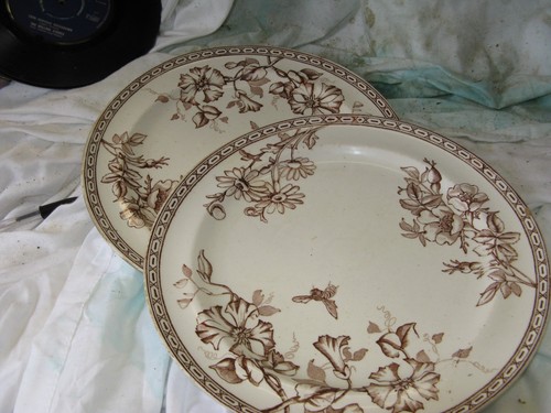 Wedgwood clematis plates - x2,