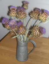 Dried Cardoon Thistles - 7 stems & 9 heads