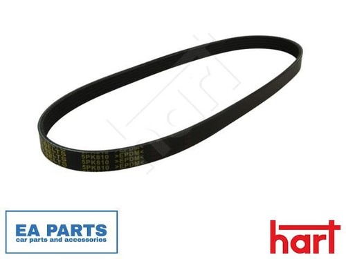 Ribbed belt for bmw - belt, e46